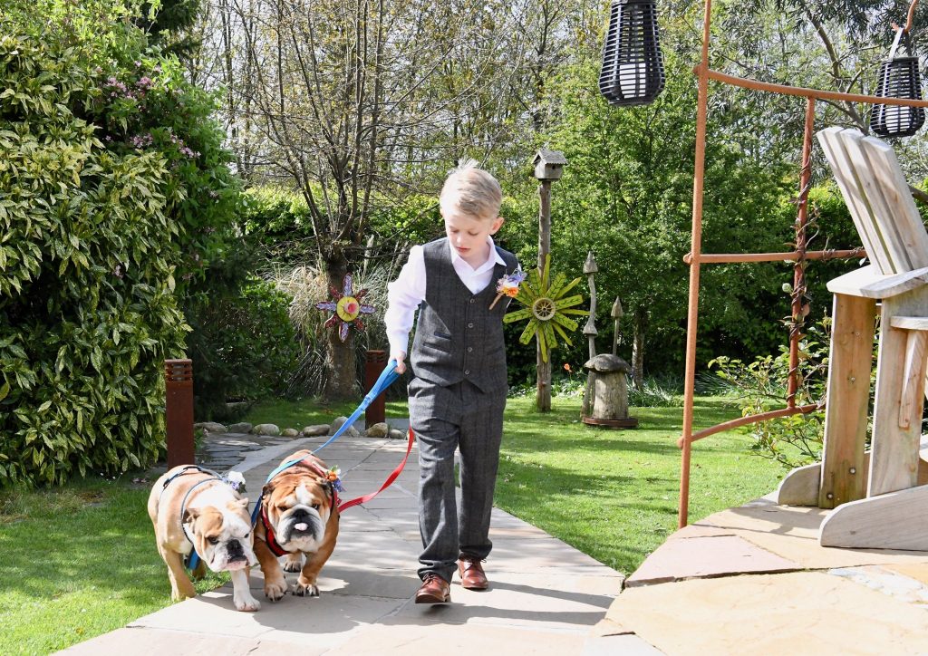 Dog Friendly Wedding Venues Cornwall